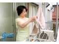 調教される母 柏木舞子