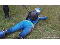 スーパーヒロインドミネーション地獄33 飛影戦隊カゲレンジャー カゲブルー 生駒はるな