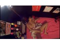 お願いだからヤラせて！！出禁覚悟の本番交渉！ 3