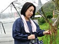 おらの母ちゃんを愛知でナンパして寝盗ってちょうだぎゃぁ～ 三河のもっちり巨乳妻 石井麻奈美 （DOD）