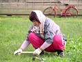 農家の母っちゃが若い男のもぎたてチ○ポを丸かじりハメまくり！ （DOD）