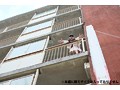 荒川集合団地リアル処女、連れまわし性交