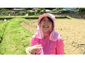 常陸太田で田植えをするお母さん おらの田んぼにも太い苗を挿れて欲しいっぺよ 有宮まこと