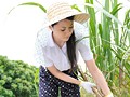 さとうきび畑の母 愛田奈々