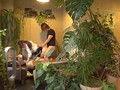 ナンパJAPAN EXPRESS Vol.02 目黒のカフェで見つけた27歳で3児の母のGカップ若妻をナンパしてAVデビューさせちゃいました