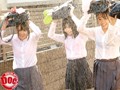 突然の夕立ちに傘もない妹の友達たちが僕の家に駆け込んできた…！ビショビショに濡れた制服の下からのぞく未発達の身体に興奮した僕は… 3