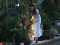 完全ガチ交渉！噂の、素人激カワ看板娘を狙え！vol.04 （DOD）