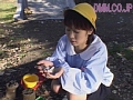セクシーガールズ