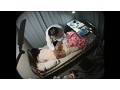 病院関係者によるわいせつ犯罪映像