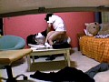 「家庭教師が美少女にした事の全記録」 隠撮カメラFILE 18