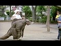 新東宝映画 有名女優選 人妻ブティック 不倫生下着 （劇場公開版・成人映画）