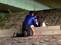 激ヤバ撮 ドキドキ橋の下でいちゃつくカップルがいた。