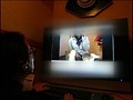 家族に秘密で「女子校生チャットレディ」のバイトをする義娘の濡れたワレメを見て欲情せずにいられますか？