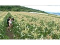 狭い場所の圧迫感と息もできない連続絶頂が女を狂わせる！ 2 ～公園の遊具、住宅街の隙間、ボーリング場の死角、田舎の畑道～