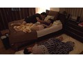 僕が寝ていると思って彼に頼まれて仕方なく舐めだした姉のフェラ尻に我慢できず近親相姦