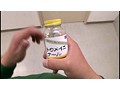 ブルセラ48 （DOD）