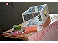 日常生活にある私たちのおちんちんペット
