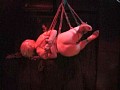 明智伝鬼の世界 Collection7 愛奴狂歓喜