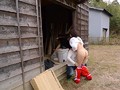 お股のユルい美人奥さま田舎に多発中！！ほっこり田舎暮らしに憧れて移住した人妻は刺激に飢えている！青姦中出しナンパ