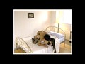 復刻セレクション Wパック 新・妹の下着＆子猫の絶頂 鈴木奈緒