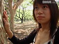 上京物語