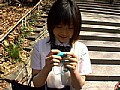 リモコンバイブ野外授業 ハイスクールガール4時間SP