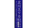 【VRセット】露出狂痴女 出会って即フェラ～完全女主導セックス 北川エリカ