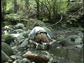 緊縛奴隷女子校生 異常教師の性体罰