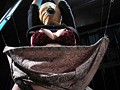 拷問男爵7 瀬戸友里亜【激安アウトレット】