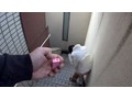 Twit○erで募集したファンの要望を撮影してみた4 通野未帆