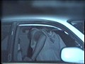 「赤外線盗撮シリーズ」Vol.7 CAR SEX【アウトレット】