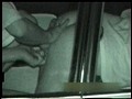 「赤外線盗撮シリーズ」Vol.12 CAR SEX