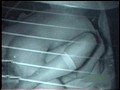 「赤外線盗撮シリーズ」 CAR SEX 淫乱・痴女特集Part 1 淫総I【アウトレット】