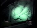 「赤外線盗撮シリーズ」 CAR SEX 淫乱・痴女特集Part 1 淫総I【アウトレット】