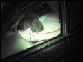「赤外線盗撮シリーズ」 CAR SEX 「脂の乗った女盛りの身体が疼く！」 スキャンダルマダム特集 特別総集編