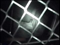 「赤外線盗撮シリーズ」 CAR SEX 「脂の乗った女盛りの身体が疼く！」 スキャンダルマダム特集 特別総集編