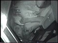 「赤外線盗撮シリーズ」 CAR SEX 「脂の乗った女盛りの身体が疼く！」 スキャンダルマダム特集 特別総集編