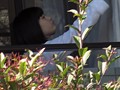 東京ストーキング【激安アウトレット】