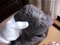 女性宅不法侵入 下着盗撮