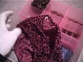 女性宅不法侵入 下着盗撮