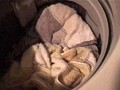 女性宅不法侵入 下着盗撮【激安アウトレット】