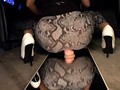 レギンス狂 オニテカ×ガチピタ 哀川りん （DOD）