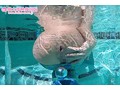 じっくりシコシコ！ココが洋ピンのヌキどころ 2016
