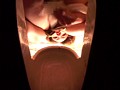 海水浴場汲み取り式便所 潜伏盗撮 2