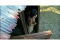 必ずやあなたの心に残る傑作AV たまには食ってみよう 禁断の木の実