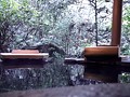 不倫旅行◆セックスレス人妻 背徳の秘湯 望美（仮名）二十六歳
