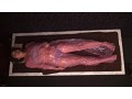 20代の美乳妻が通う発狂媚薬エステ中出し 10