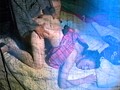 Age of FA レイプ時代劇 ～暴行魔 違法松の一生