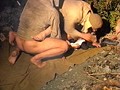 懐かしきFAポルノ 戦争犯罪 レイプ 妻と娘 （DOD）