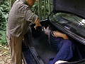 美しき女体のエロス 性犯罪名作選